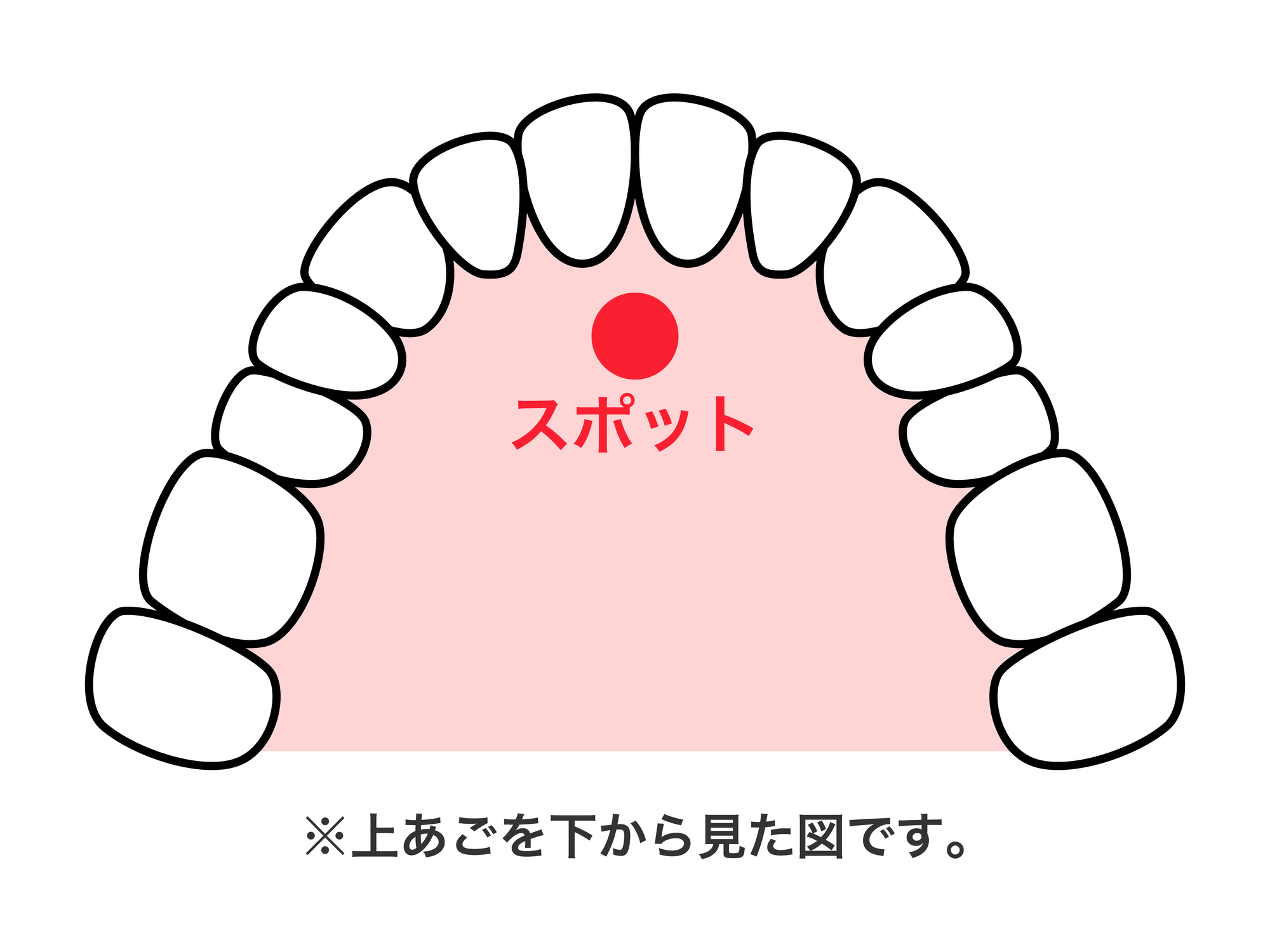 舌スポットの図解