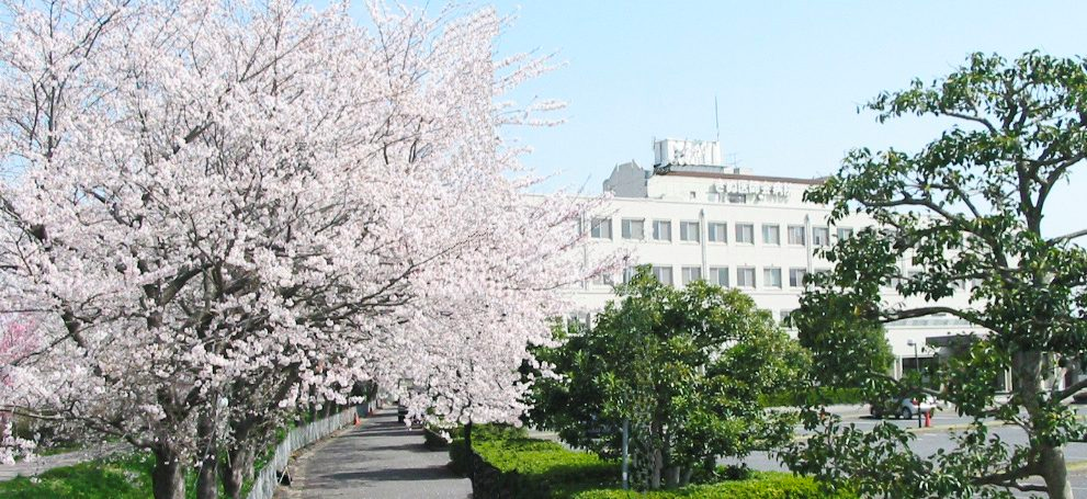 きぬ医師会病院